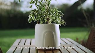 Natede by Vitesy, the most Amazing Smart Natural Air Purifier - Short