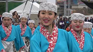 舞人・花一凛③＠2018　県道飯能寄居線バイパス新堀北平沢工区開通