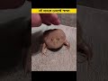 এই ব্যাঙ দেখলেই পালিয়ে যান 😨 facts frog dengerous