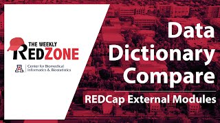 REDZone - Data Dictionary Compare