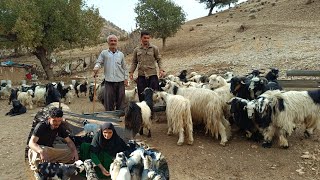 Nomadic life in Zagros, Iran. Mojtaba's efforts to build a flyover