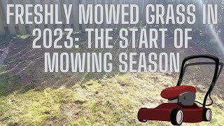 Freshly Mowed Grass in 2023: The Start of Mowing Season