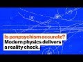 Is panpsychism accurate? Modern physics delivers a reality check. | Dr. Susan Schneider | Big Think