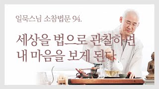 세상을 법으로 관찰하면 내 마음을 보게 된다ㅣ일묵스님ㅣ제따와나선원 일요소참 94.