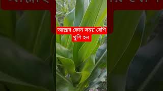 আল্লাহ কোন সময় বেশি খুশি হন #shotrs #shotrs #islamicstatus