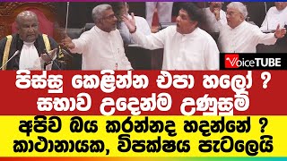 පිස්සු කෙළින්න එපා හලෝ ? සභාව උදෙන්ම උණුසුම් | අපිව බය කරන්නද හදන්නේ ? කාථානායක, විපක්ෂය පැටලෙයි