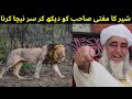 the lion s head down when he saw the mufti zarwali khan sahab