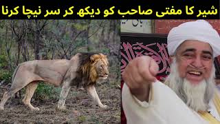 The lion's head down when he saw the Mufti Zarwali Khan Sahab