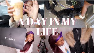 DAY IN MY LIFE VLOG: Viral TikTok Drink, Rudsak Jacket Shopping, Taking Dog to Groomers|| KaayBenzz