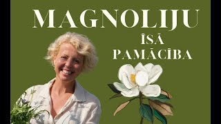 Īsa pamācība par MAGNOLIJĀM