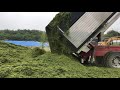 tmr永谷 牧草収穫作業 土場編 2019.6 forage harvest in japan