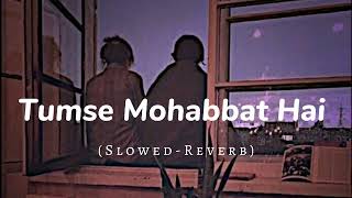 Tumse Mohabbat Hai Slowed-Reverb || Lofi Song ||