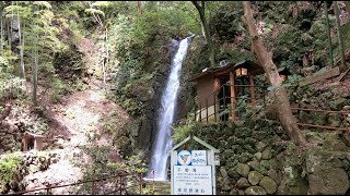 伊豆の滝を巡る　不動滝（湯河原）