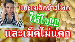 วิธีการแกะเมล็ดข้าวโพดอย่างง่าย เร็ว และเม็ดไม่แตก|อัญพันล้าน PunlanAn