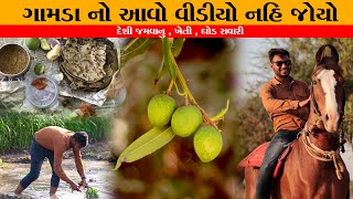 ગામડા નો આવો વિડિઓ નહિ જોયો હોય / Boriyavi , Vadosan / Back to Gujarat Village Life