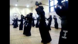 Kendo Training \