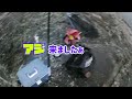 山形県　鶴岡市　イナダ釣りに行ったつもりが…