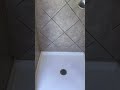 how to clean your shower floors clean howto trending viral shower bathroom