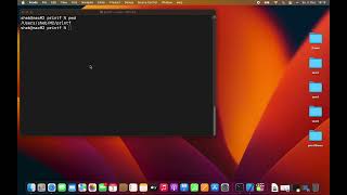 Assembler ARM64 printf mit Xcode/gcc