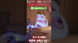 味方に閉じ込められたｗ #ヴァロラント #valorant #shorts