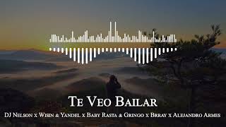 DJ Nelson x Wisin & Yandel x Baby Rasta & Gringo x Brray x Alejandro Armes - Te Veo Bailar