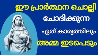 ഏത് കാര്യത്തിലും അമ്മ ഇടപെടും l Miraculous prayer l powerful prayer