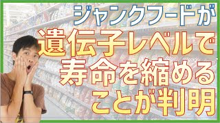 ジャンクフードで寿命が短くなる事が証明！老化した細胞を若返らせる方法