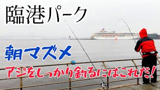 【臨港パーク】朝マズメの狙い撃ち大成功！短時間でしっかり釣れる！トリックサビキ釣り