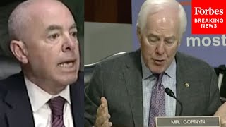 'Did That Shock You To Learn?': Cornyn Questions Mayorkas Over Unaccompanied Minors