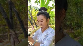 อ้อยสด สาวไทลื้อ สิบสองปันนา ของกินบ้านๆ 西双版纳 Tailue Xishuangbanna Life Diary