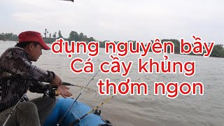 Con sông có nhiều cá cầy khung ở Bình Dương