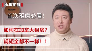 如何在加拿大租房？规矩全都不一样啊？ | 小羊在加