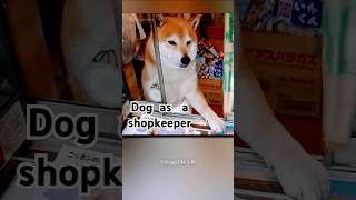 Dog as a shopkeeper #shorts