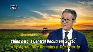 China's No. 1 central document 2025: Why agriculture remains a top priority