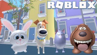 Roblox The Secret Of Pets Obby Videos 9tube Tv - the secret life of pets obby play as duke by packstabber obbys roblox