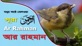 Surah Ar rahman full beautiful (الرحمن)  | মন জুড়ানো তেলাওয়াত | Calming Recitation