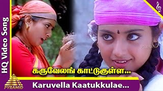 Karuvella Kaatukkulle Video Song | Porkaalam Tamil Movie Songs | Murali | Meena | Deva | Vairamuthu