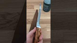 Steinbit Fillet Knife with Masur Birch - 12C27 Stainless Steel by Helle