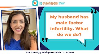 My husband has male factor infertility. What do we do? (Ask The Egg Whisperer with Dr. Aimee.)