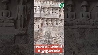 பாறையை குடைந்து 150 சிற்பங்கள்  சமணர் பள்ளி #kalugumalai #samanarpalli #kalugumalairockcut