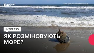 Чому Туреччина, Румунія та Болгарія збираються розміновувати Чорне море без України?