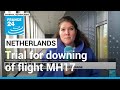 Judges to rule in murder trial for 2014 downing of flight MH17 over Ukraine • FRANCE 24 English