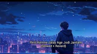 পিরিতি কেমনে জ্বালায় আগে যদি জানতাম _ Piriti kemne jalay age jodi jantam _ New Sad lofi Song 2025