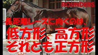 長距離レースに向くのは、低方形？高方形？それとも正方形馬？(菊花賞2019出走馬馬体診断）