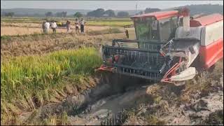 GREENFIELD HARVESTER | FAST HARVESTING AT ANY SOIL CONDITIONS