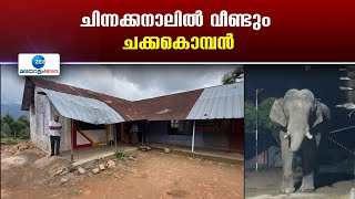 Idukki Elephant Attack | ആനയിറങ്കലിൽ റേഷൻ കട തകർത്തതിന് പിന്നാലെ  ഷെഡും ചക്കക്കൊമ്പൻ തകർത്തു