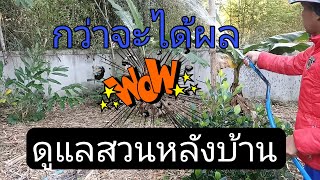 📌 วิถีพ่อบ้าน | EP.03 ไปลุยสวนหลังบ้านกันต่อจ้า ยังมีอีกนะ ปลูกอะไรบ้าง ! #อดิศรแฟมิลี่  #02-12-2021