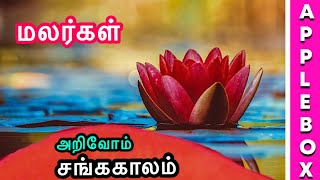 Ivagai Nilangal in Tamil | ஐவகை நிலங்களும் பூக்களும் | Five Lands in Tamil | AppleBox Sabari