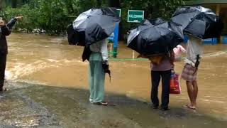 Bedti rever in uttara kannada(3)