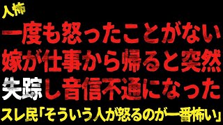 一度も怒ったことがない嫁が仕事から帰ると突然失踪し音信不通になった   【 2chヒトコワ、修羅場】⚪︎